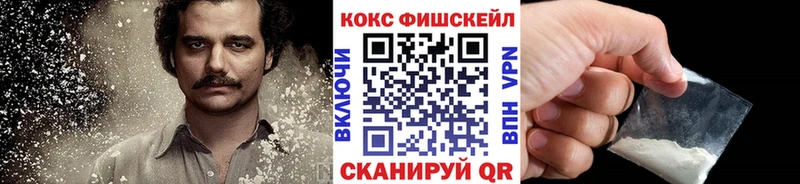 продажа наркотиков  Заринск  Cocaine FishScale 