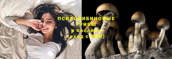 гидропоника Балахна