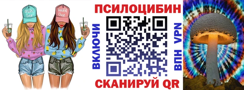 Галлюциногенные грибы Psilocybine cubensis  где купить наркоту  Заринск 
